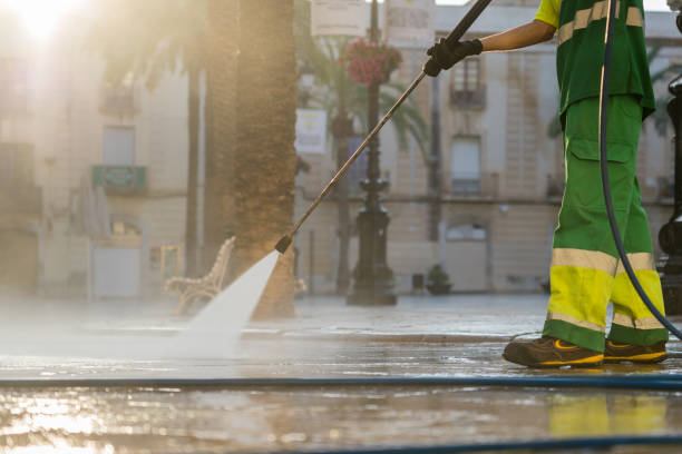 Best Solar Panel Cleaning  in River Ridge, FL